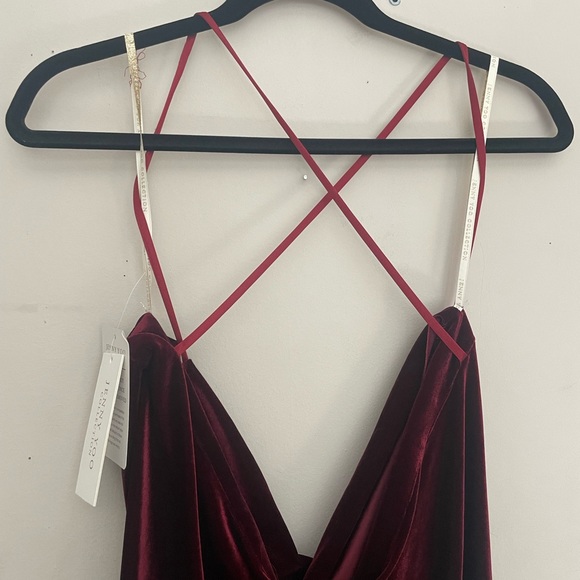 Jenny Yo Dark Berry Velvet Midi Dress - Picture 10 of 12